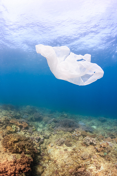 Plastic Bag floats by a coral reef